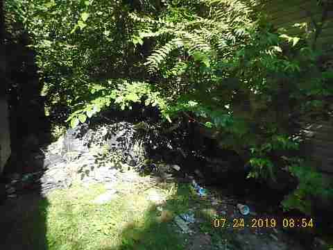 18499 Patton (4)_m.jpg